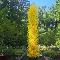 Eine Palme aus Glas - wunderschön!