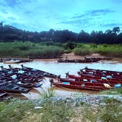 La vie humaine le long de la rivière Tahan est assez active mais non envahissante