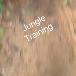 Séance solo de jungle training, 2h en forêt ! Admirez l'athlète !! 😁🥳🤭🤣🤪🥳😍