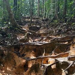 Ca monte et ça descend dur, parfois le chemin est compliqué, mais ça passe 👌