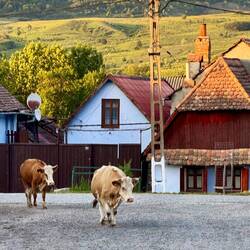 Ein tolles Erlebnis 🥰