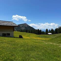 The meadows were quite picturesque