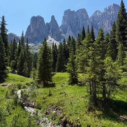 This hike was more wooded than others we've done in the Dolomites