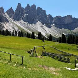 What a place to swing!