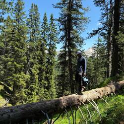 Chris crossing a makeshift bridge