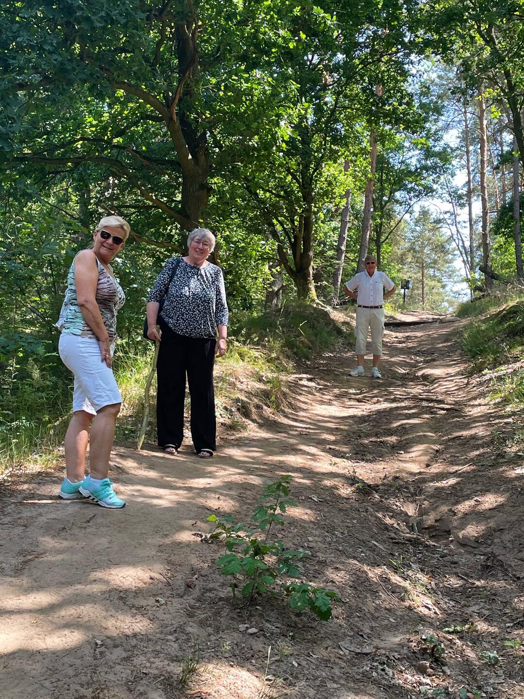 Aufstieg zum Gollenberg