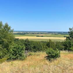 Blick vom Gollenberg in das Havelland
