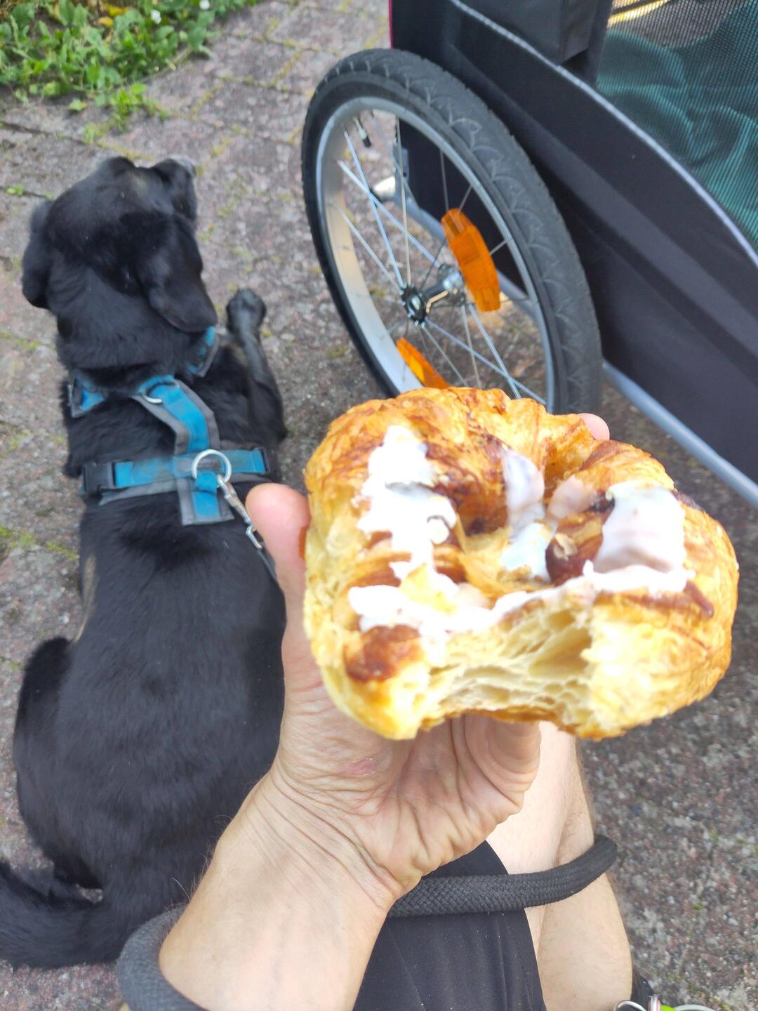 Spandauer (Gepäck) zum Frühstück