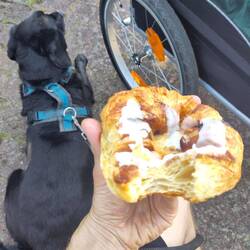 Spandauer (Gepäck) zum Frühstück