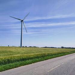 Links Feld mit Windrädern. So geht es richtig 👍