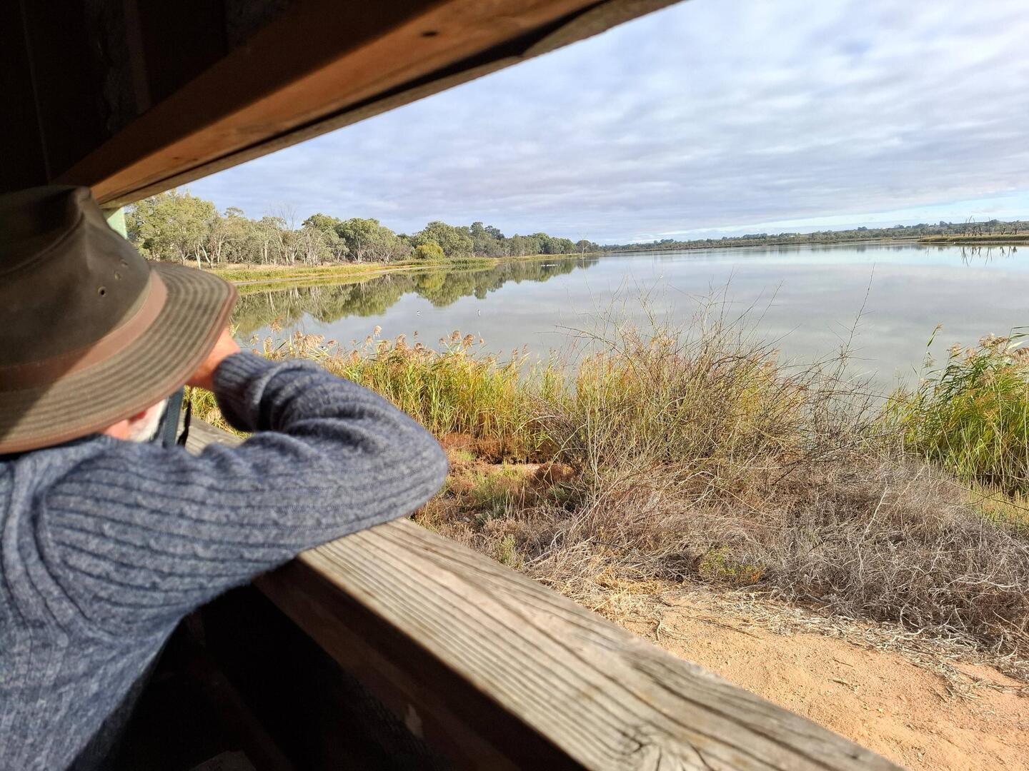 Hart Lagoon, Waikerie. Managed to ID red necked avocet & black wing stilts