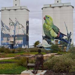 Elegant parrot mural & street art @ Waikerie