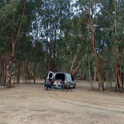 by ourselves on the riverbank at Loxton