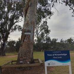 Record of flood levels from 1956