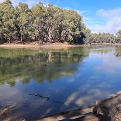 River walk along the Little Murray, Swan Hill