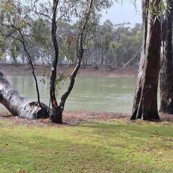 And then the sun came out.....