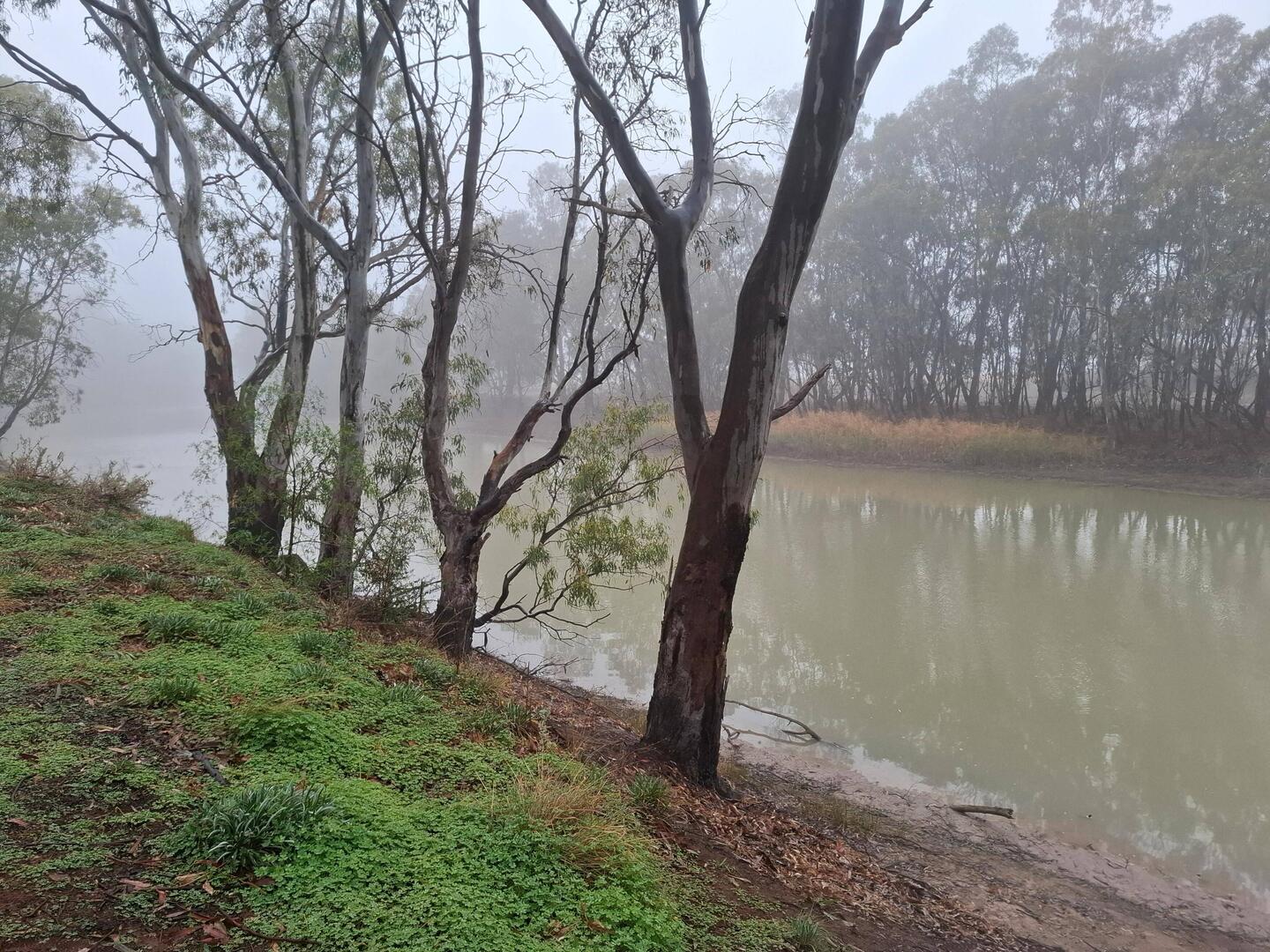 Fog on the Murray - beautiful in its own way
