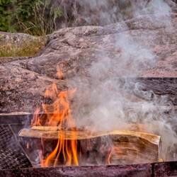 Vegane und nicht vegane