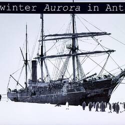 Aurora being visited by emperor penguins in the Ross Sea.