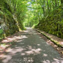 Finally a little shade. Even if it was for about 200m