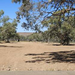 Todd River - usually dry but does flood sometimes