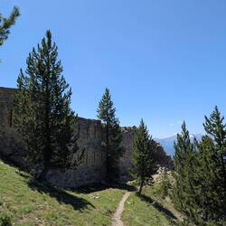 Eini vo x hundert Festige