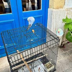 In der Mitragspause haben hier auch die Vögel Ausgang 😀