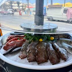 Hier kann ich mein Mittagessen aussuchen 😁