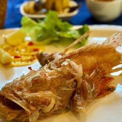 So hab ich definitiv noch keinen Fisch präsentiert bekommen 😅