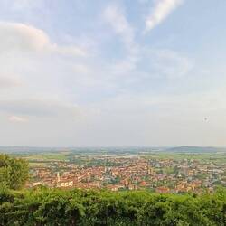 Schöne Aussicht auf die Reben