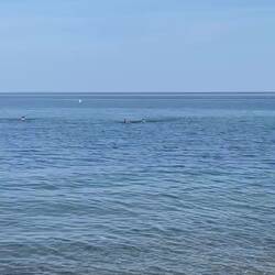 16 Grad, Karibik ist anders 🤭