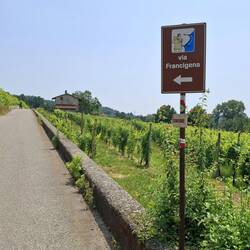 Erg veel asfalt vandaag, maar dat vordert lekker snel.