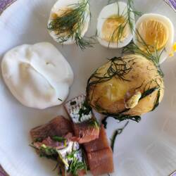 Eingelegter Hering mit Ei typisches Midsommer Essen