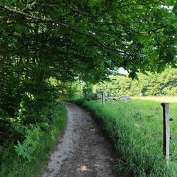 Im Nationalpark Söderasen