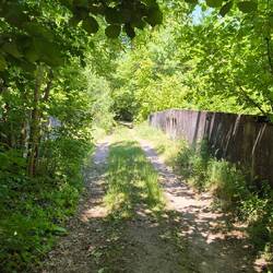 Alte Eisenbahnbrücke