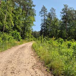 🚶‍♂️🐕🚶‍♀️