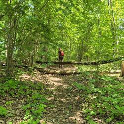 Hier ist der Weg noch halbwegs gut.