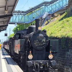 Neustadt an der Weinstraße: Sonderfahrt