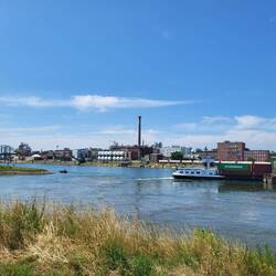 Mündung in den Rhein