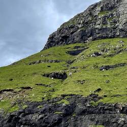 Cliffs with sheep
