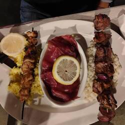 SA Meze - coccodrillo , struzzo e antilope