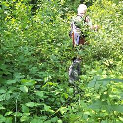 Auch heute Dschungelpfade.