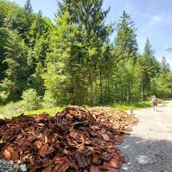 Da wird schon wieder was vorbereitet.😳