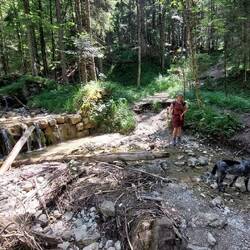 Bachquerung mit Abkühlung für Frodo.
