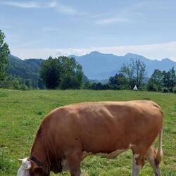 Kurz vor dem Ziel, schöner Blick auf Heimgarten und Herzogstand.