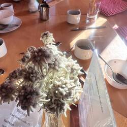 Auf jedem Tisch stehen zwei Sträuße echte Edelweiß!