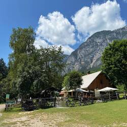 Jaus'n in der Almwirtschaft Schütt