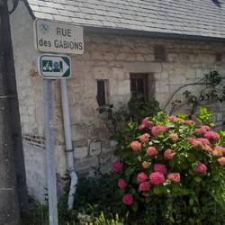 Velo verte