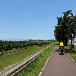 Da grüßen sie, die Alpen.