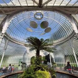 Im Botanischen Garten